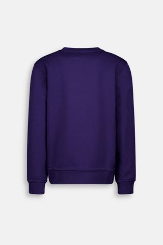 BASIC SWEATER
