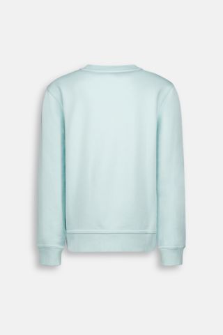 BASIC SWEATER