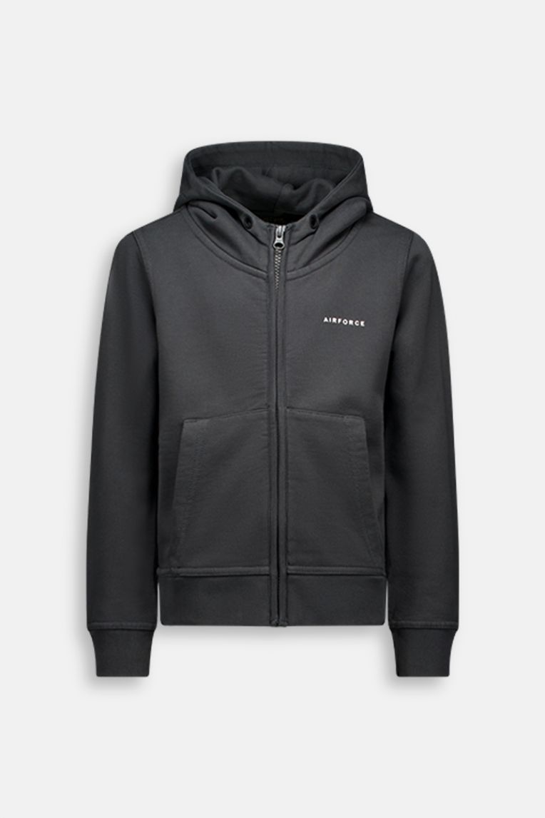 BASIC HOODED ZIP VEST