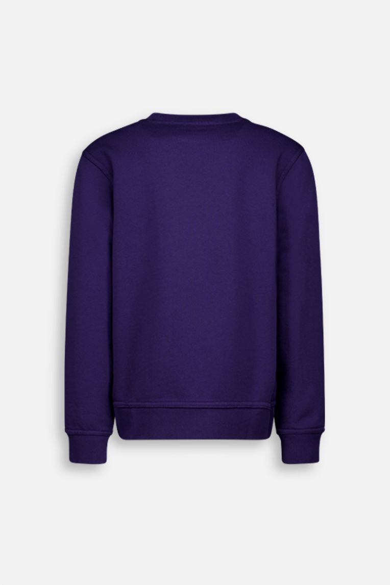BASIC SWEATER