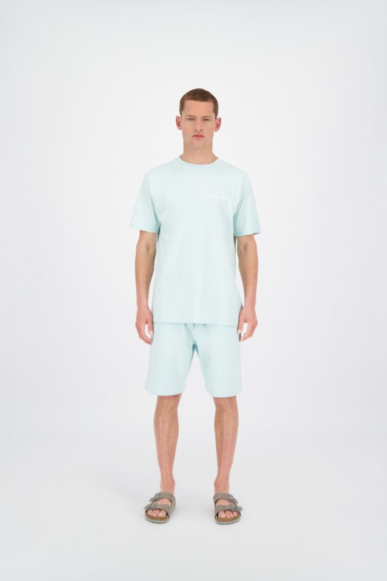 BASIC SHORT